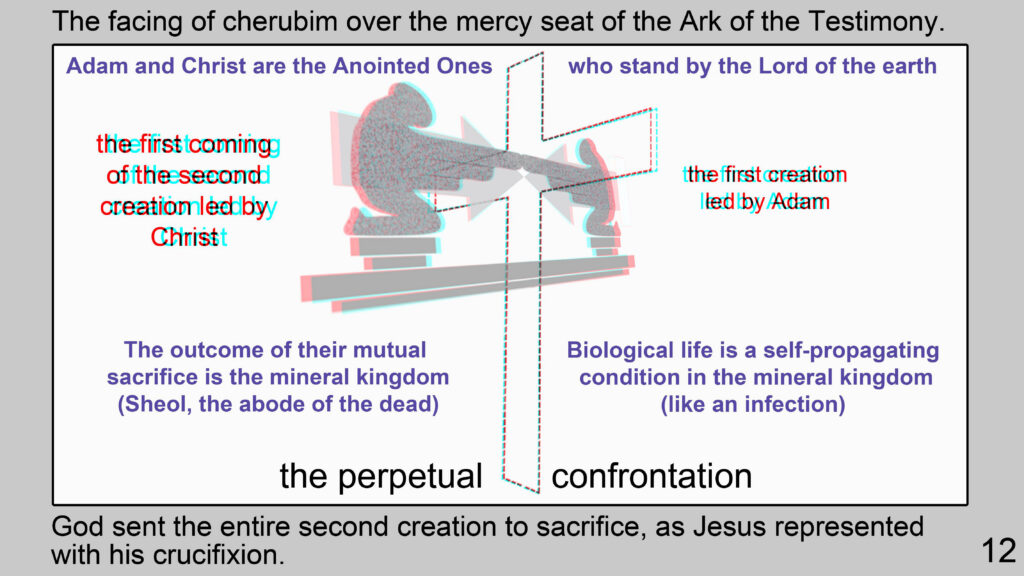 Lamina PFW 12 3D